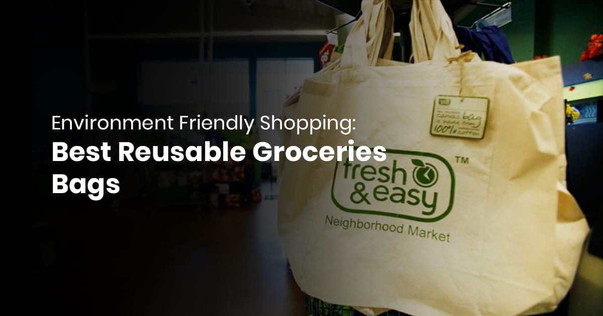 Environment Friendly Shopping: Best Reusable Groceries Bags Of 2019
