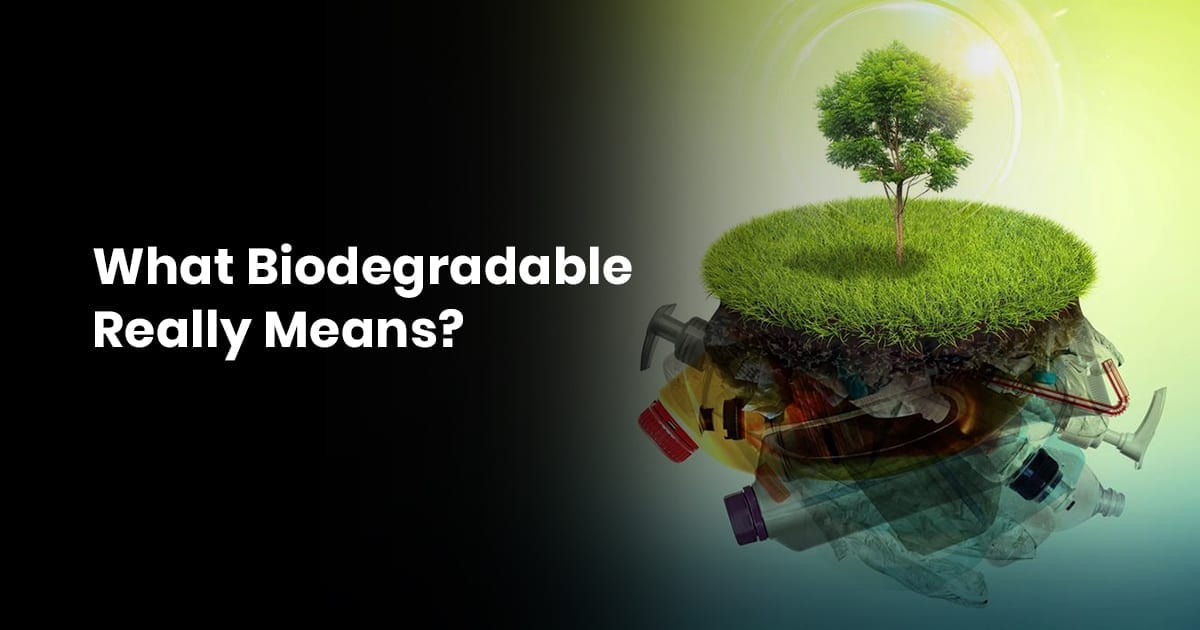 19 What Biodegradable Really Means