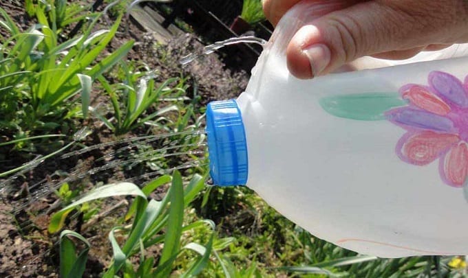 Detergent Bottle Watering Can