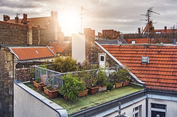 Rooftop Urban Garden